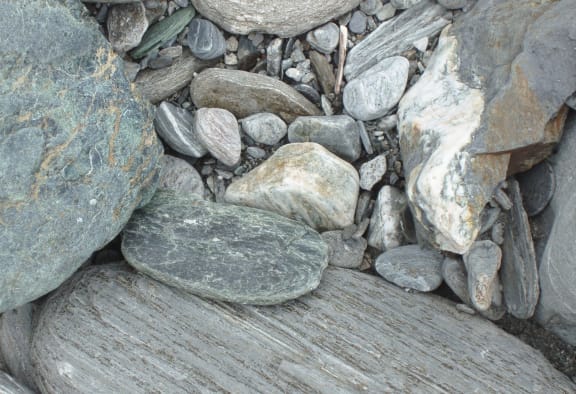 Pounamu amongst pebbles in a riverbed.