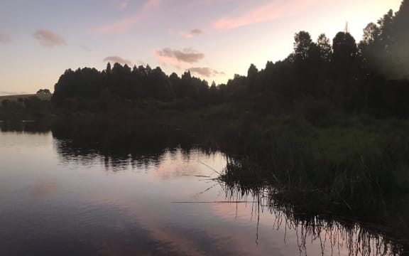 The edge of a lake at sunset. The sky is pinkish and the trees and reedy vegetation at the edge of the lake are silhouetted.