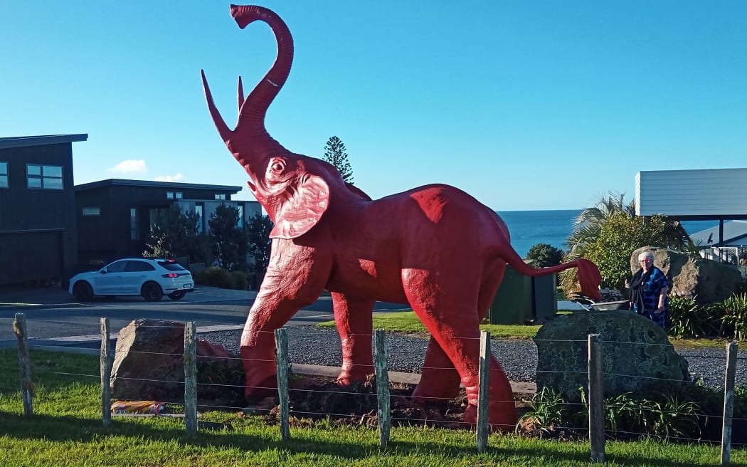 Abdul the elephant now looks out over the Pacific Ocean instead of the traffic jams of Khyber Pass. Photo: Kate Harris