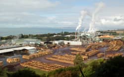 The multi-million dollar Pan Pac paper mill, near Napier, has ground to a halt due to sky high power prices, and they’re calling on the government to do more.