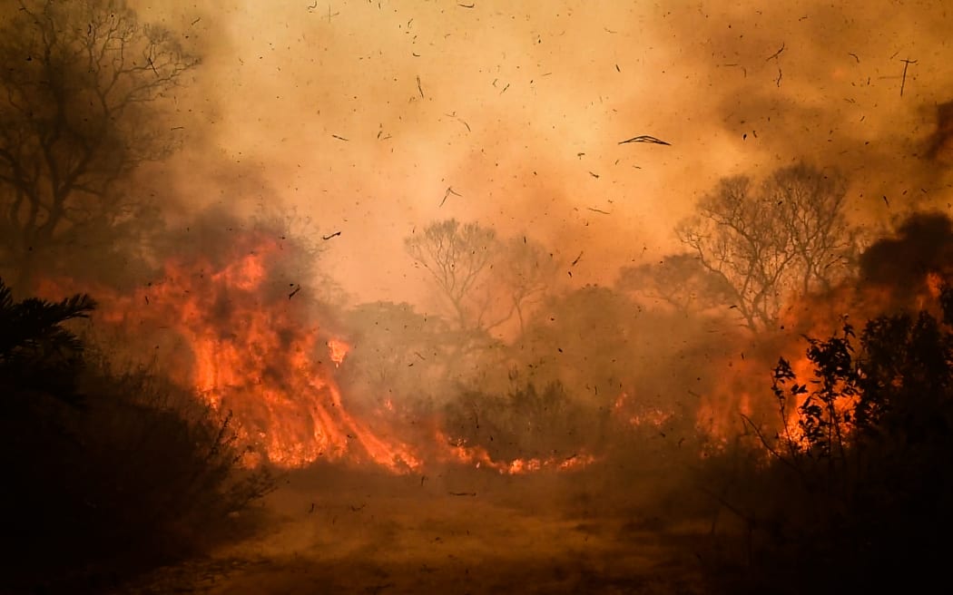 Out of control forest fire burns the area of the Brazilian Pantanal in rural Pocone, Mato Grosso, Brazil, on August 19, 2020.
