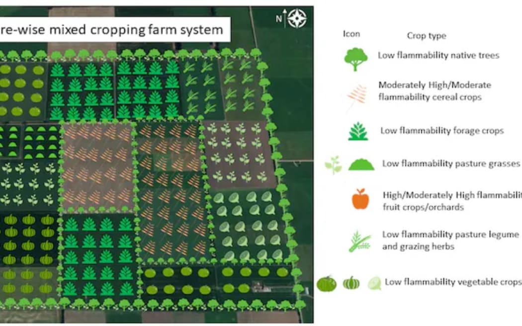 This figure shows how a mixed-cropping system could be used to mitigate fire at a hypothetical farm on the Canterbury Plains. Author supplied, CC BY-SA