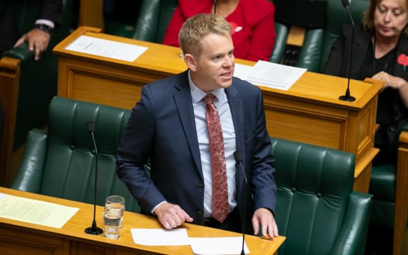 MPs speak during the second reading of the Principles of the Treaty of Waitangi Bill
