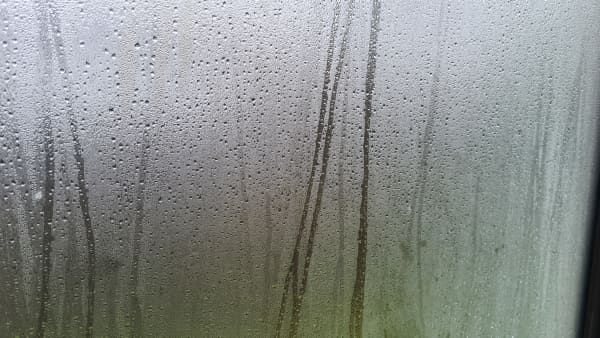 Window condensation.