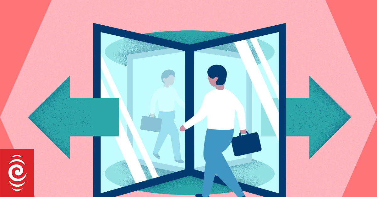 Revolving door for lobbyists 'can result in unfair access' Justice Ministry RNZ News