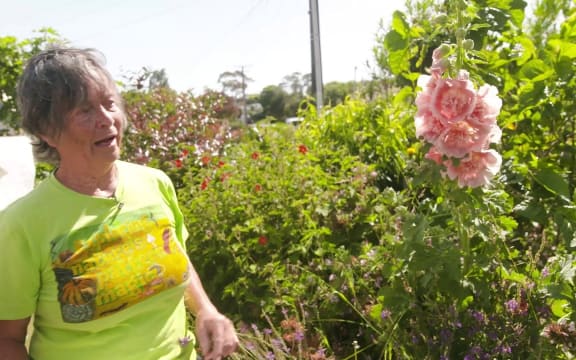 Controversy over North Auckland berm