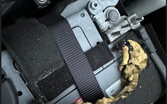 A photo from a Wellington car owner showing damage done by rats under the bonnet.