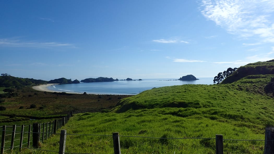 A panoramic view of a bay in Northland.
