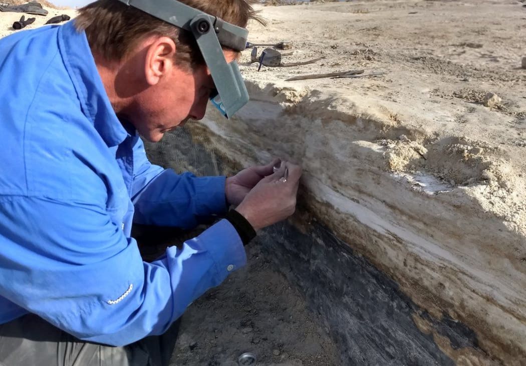 Researchers dated seeds found above and below the layers containing the footprints.