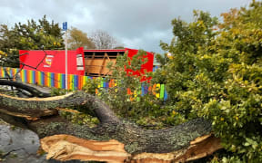 A tree on the ground in front of a red fence.