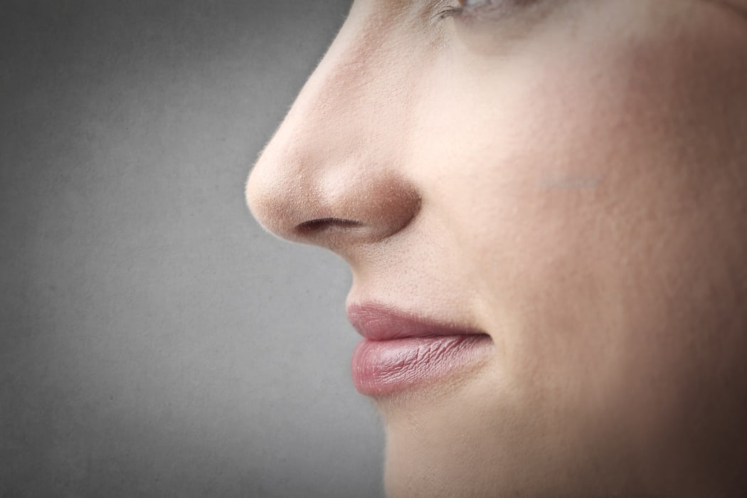 22776244 - woman's nose
