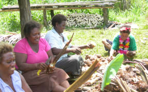 Women in Solomon Islands Malaita Province harvest Taro.