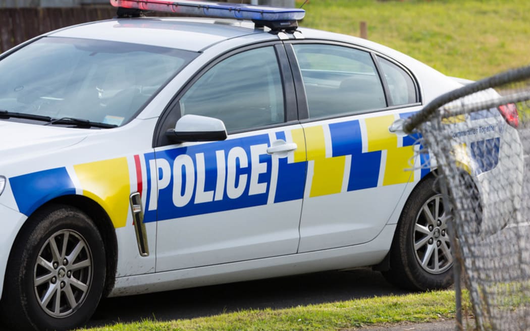 A police car parked on the street.