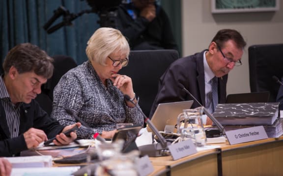 Christine Fletcher at a Council meeting about the Unitary Plan. 10 August 2016.