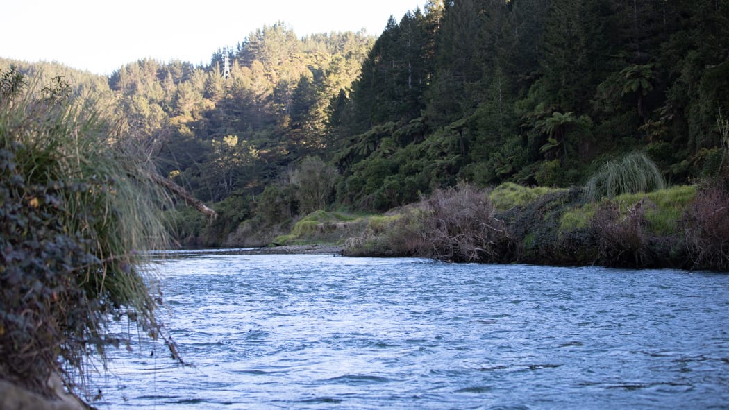 Rangitaiki River.