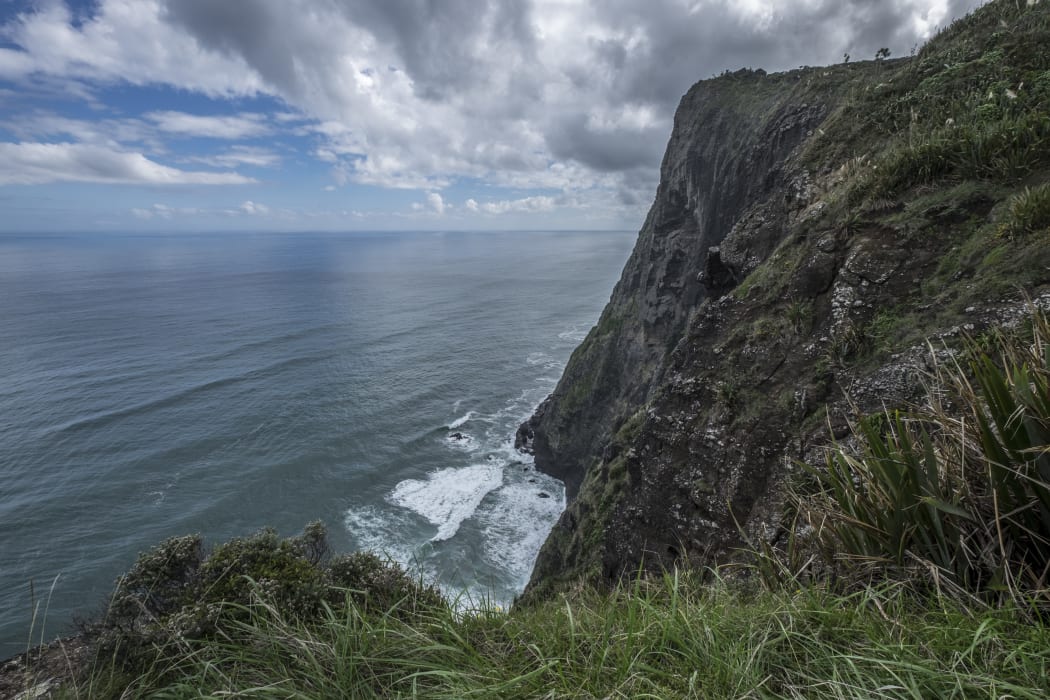 West Auckland Mercer Bay cliff area in the ongoing search for Kim Bambus.
Waitemata Detective Inspector Hayden Mander said searchers will scour the cliff area.
Ahu Ahu Track (Mercer Bay loop track) near Auckland's west coast beach of Piha.