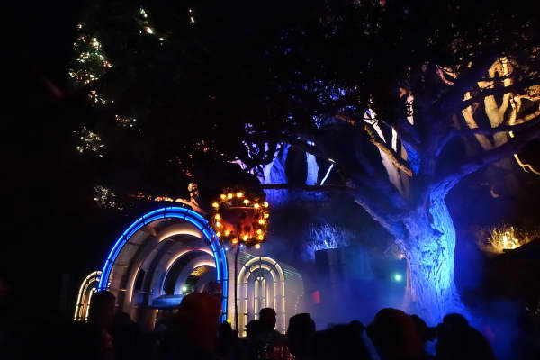 AJHONEYSUCKLE and Dylan Biscuit playing the Crystal Palace stage at Splore