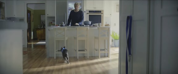 This undated image made from a video provided by Amazon shows a scene from the company's 2019 Super Bowl NFL football spot featuring Harrison Ford. Amazon pokes fun at itself as celebrities from Harrison Ford to astronaut twins Mark and Scott Kelly test products