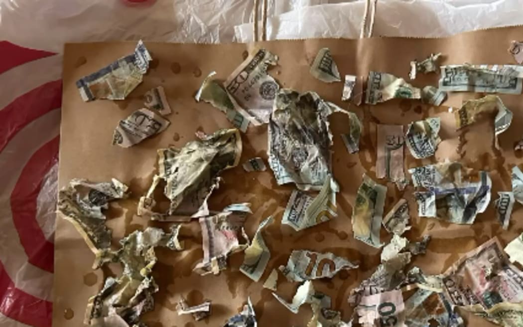 The strips of chewed up cash that the Laws had to piece together.