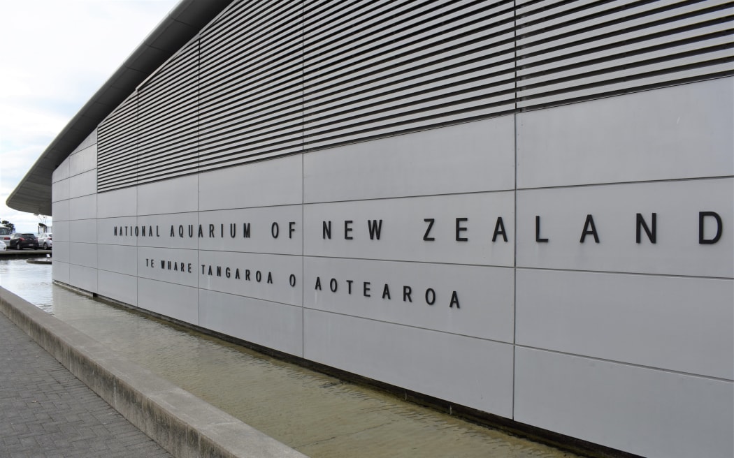 The National Aquarium of New Zealand in Napier.
