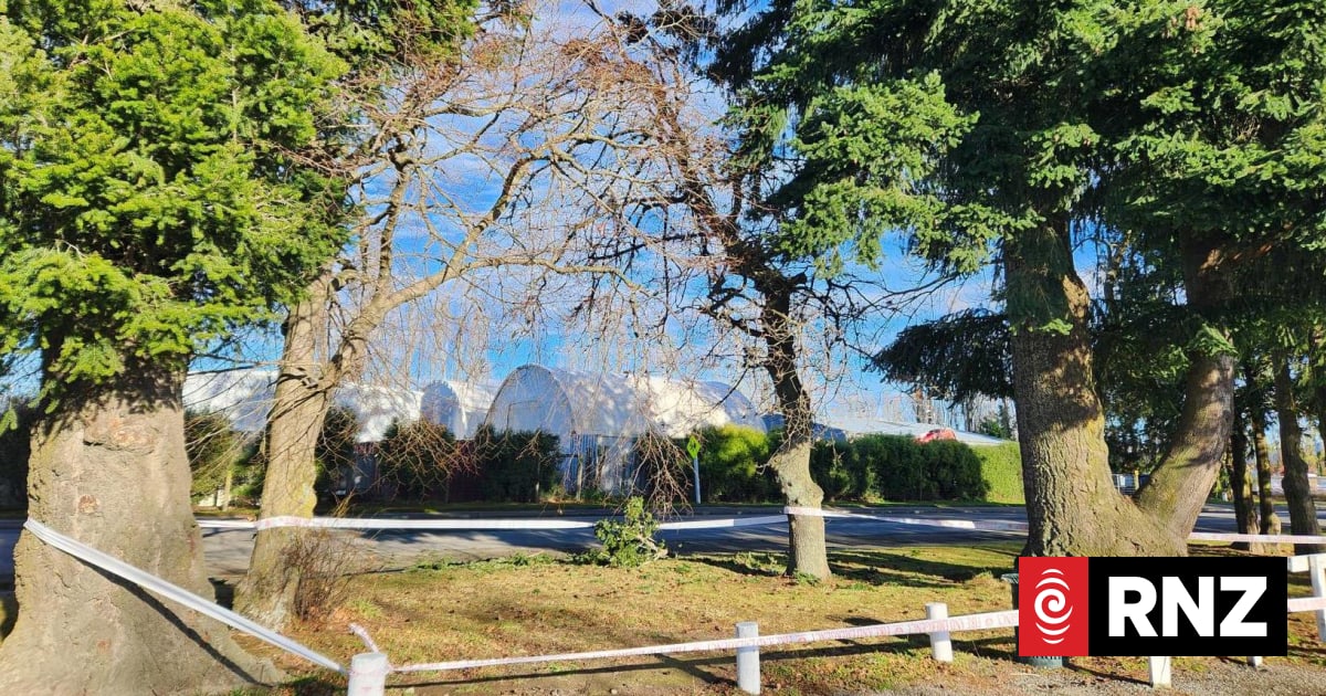 Hot air balloon crash in Methven leaves one person with minor injuries