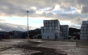 wellington quake