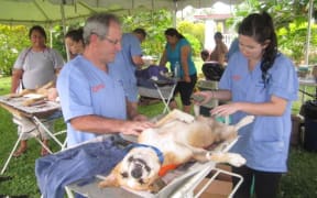 SPAW veterinarians working in the Pacific.