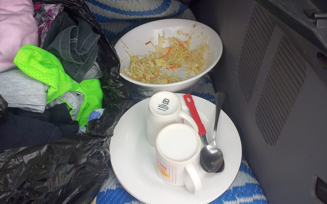 Picture of dishes and food in a plate on the back seat