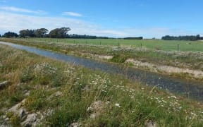 Otago Regional Council's testing water area for E. Coli.