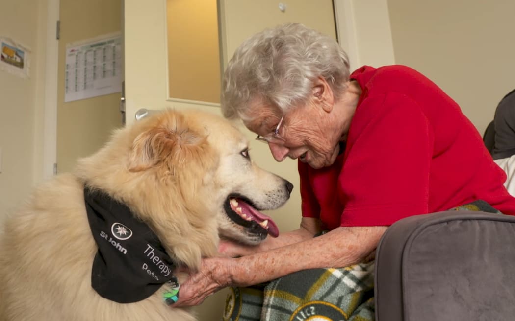 Therapy dog Moose is the highlight of the week for some residents of Summerset Retirement village in Karaka.