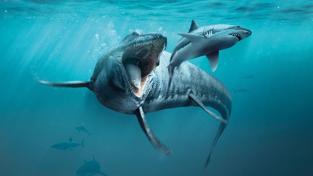 Sea monsters.