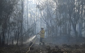 A firefighter dowses a bushfire in the residential area of Sydney (file photo). Firefighters will carry out backburning today to control two massive blazes on two sides of Sydney.