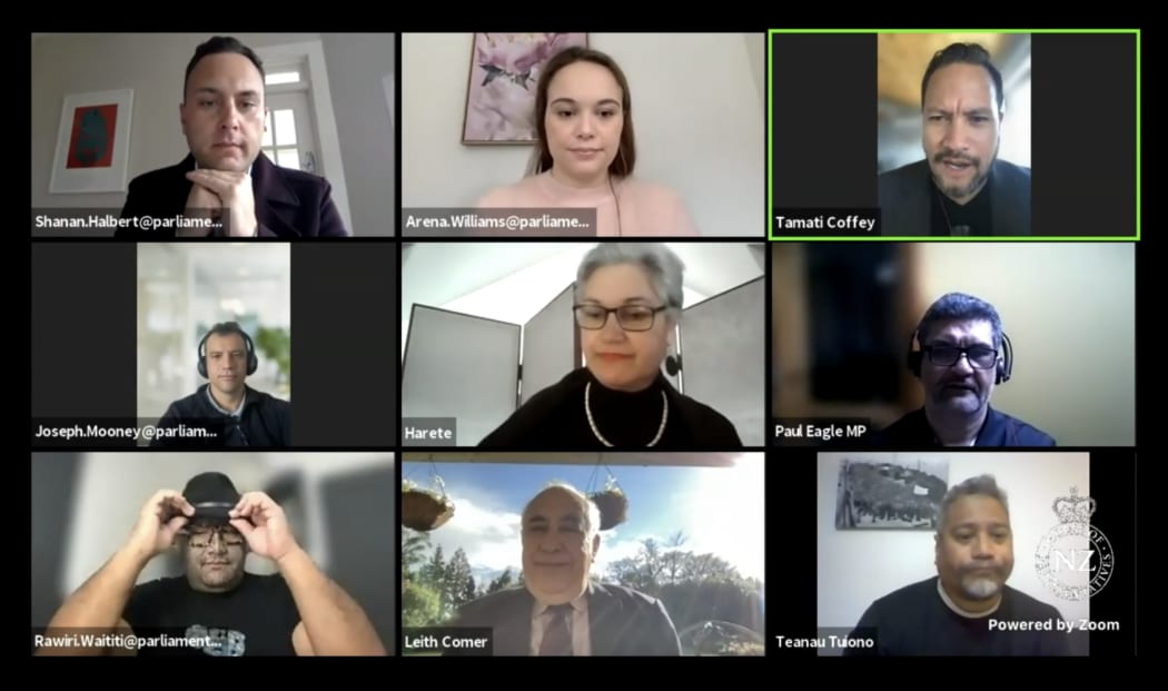 The Maori Affairs Committee meeting online. Rawiri Waititi (bottom left) adjusts his hat after having removed it to lead the committee in an opening karakia.