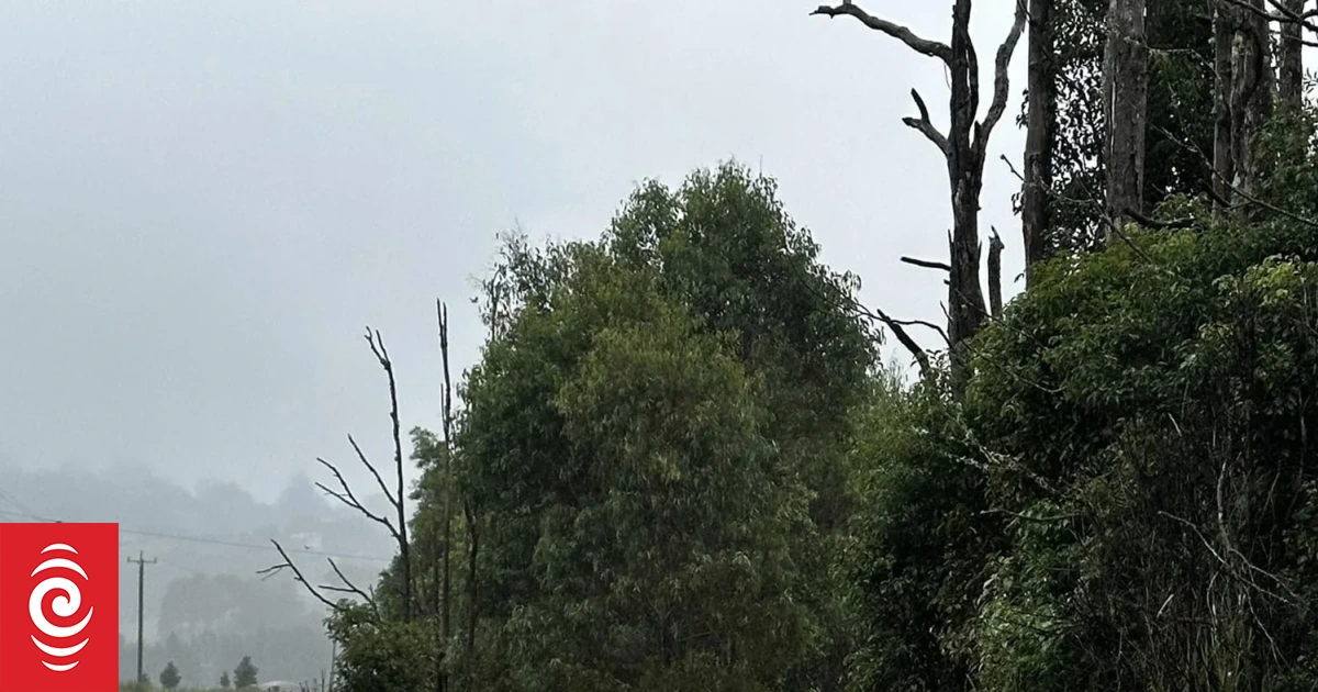 Widespread evacuations as floods hit NSW, more rain to come on Saturday - Vimarsana News