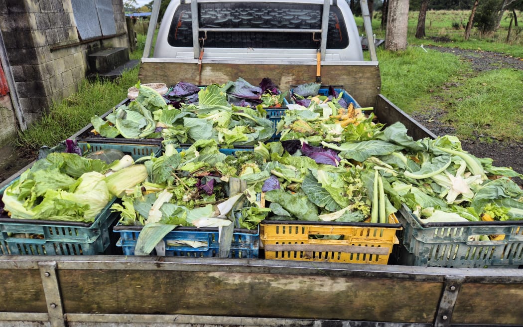 The pigs are also fed foodscraps from a thrice weekly run to the local supermarket, which help add nutrients back into the soil.