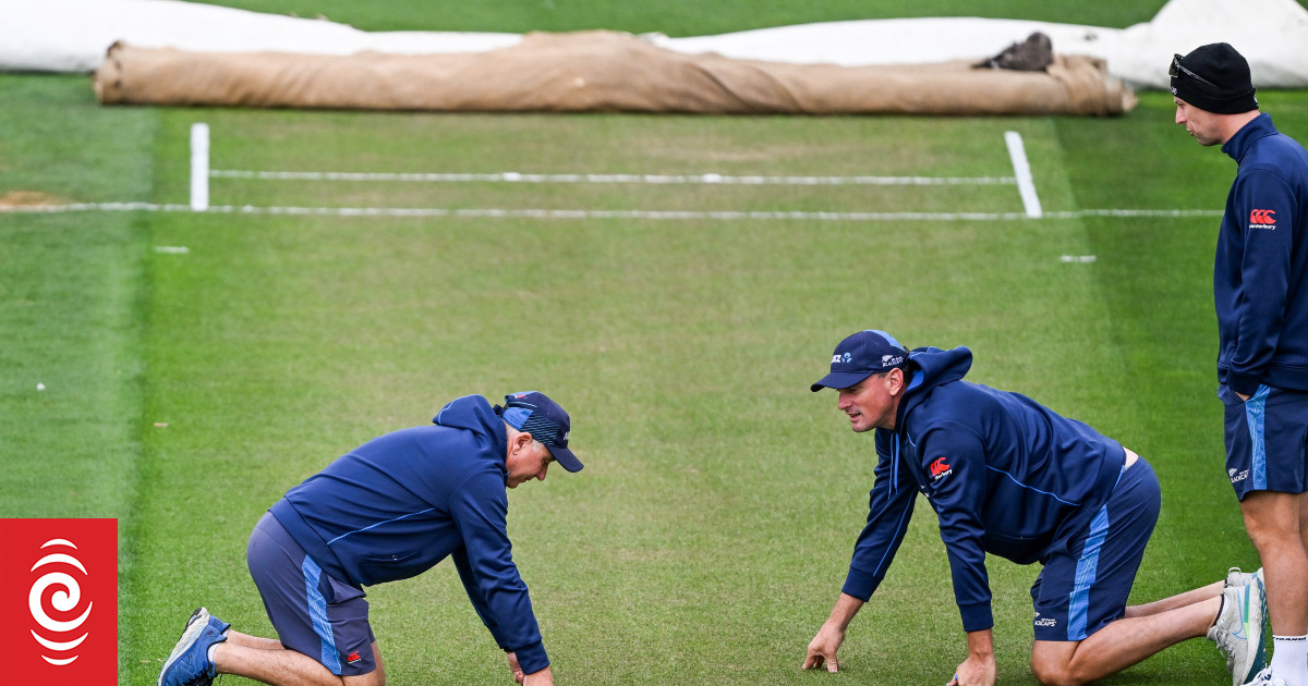 Test cricket: History on Australia's side against Black Caps - Vimarsana News