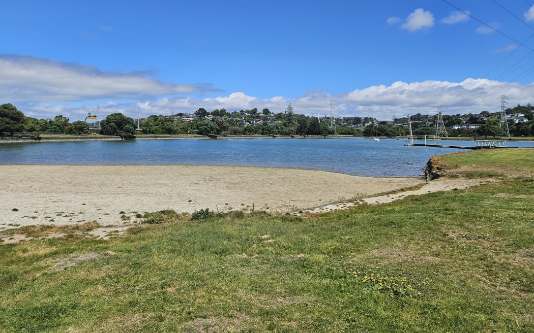 The Onehunga Lagoon, at the reserve between Beachcroft Avenue and the motorway.
