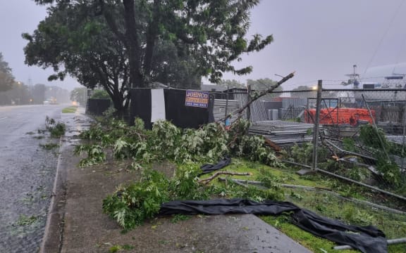 Downed trees on Riverside Drive in Whangarei.