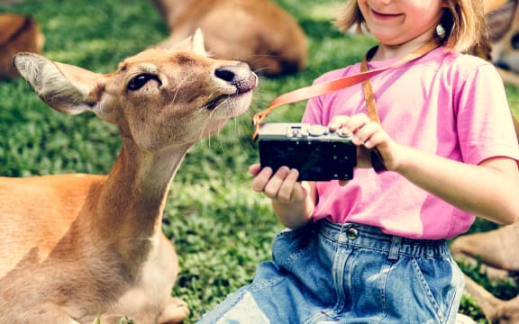Young girl taking a selfie with deers. (File photo)
