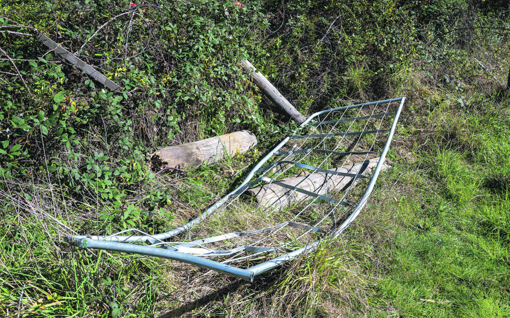The most recent victim of vehicles exiting the Pekatahi Bridge too fast still lies in the paddock.