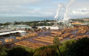 The multi-million dollar Pan Pac paper mill, near Napier, has ground to a halt due to sky high power prices, and they're calling on the government to do more.