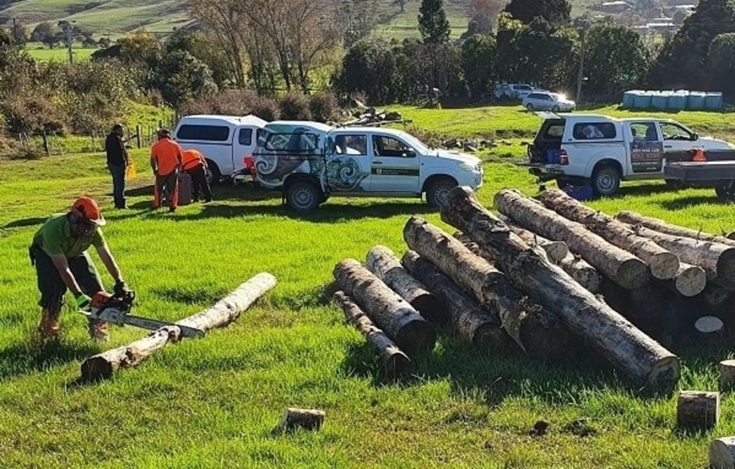A Hauraki iwi partnership makes use of logs damaged during lockdown.