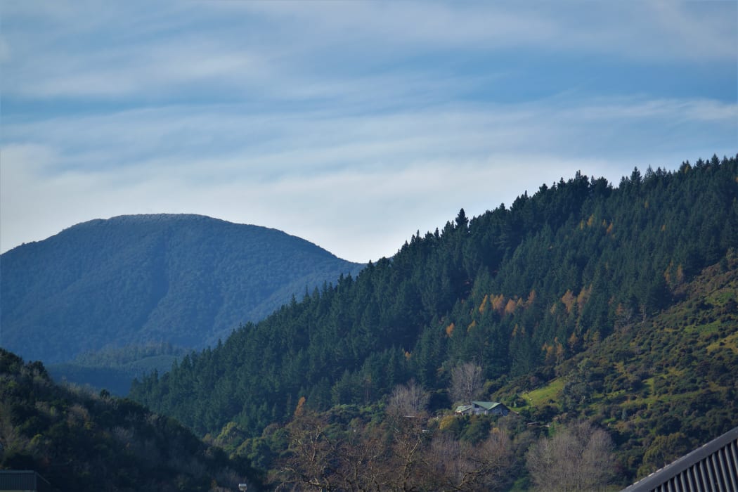 Looking east up the Maitai Valley.