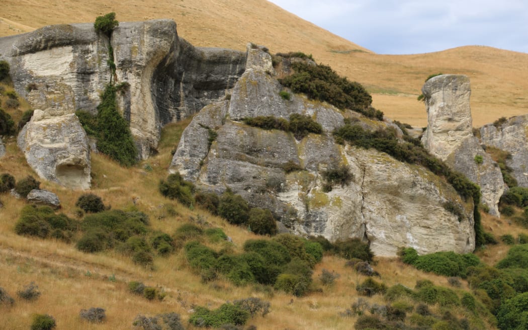 Ian Knowles has more than sheep and cattle on his North Canterbury farm