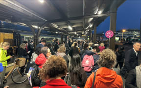 Trains between Wellington and Waikanae have been suspended due to what Metlink is calling an operational incident.