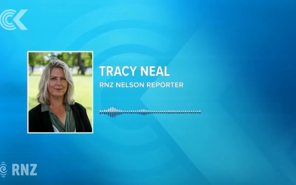 Reporter’s lucky escape as tree crashes down on her car