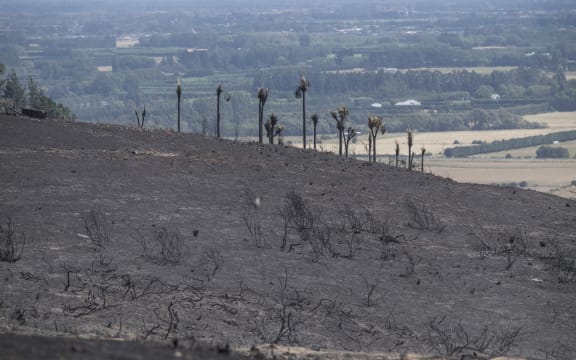 Aftermath of the fires in the Port Hills, Christchurch. Thursday. 16 February 2017