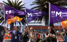 Strike action at Wellington Hospital 28 Nov 2025