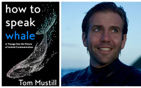 Tom Mustill