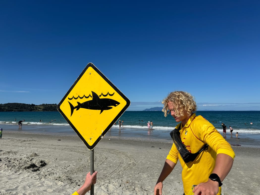 Swimmer finds sharks two days in row at popular beach